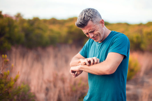 Is Lavender Good for Repelling Mosquitoes? An In-Depth Analysis