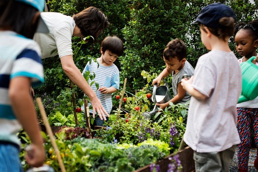 10 Fun Nature Activities for Kids To Explore & Learn